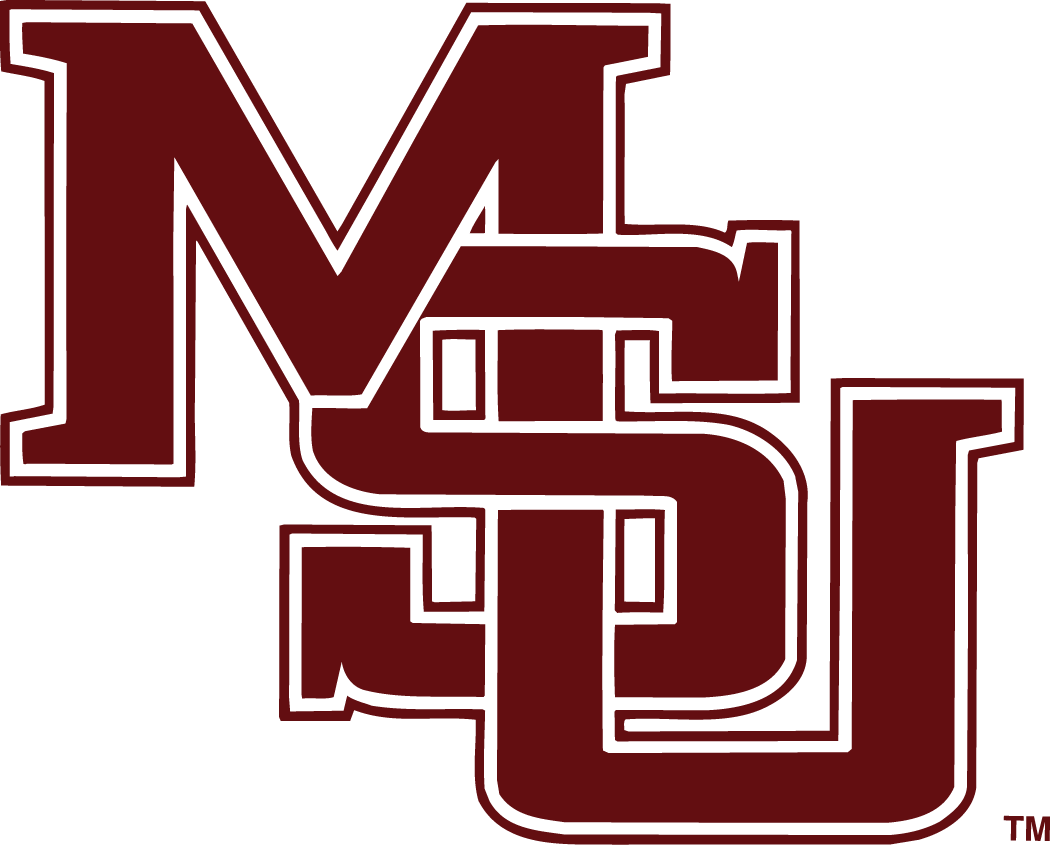 Mississippi State Bulldogs 1996-2003 Primary Logo iron on transfers for fabric
